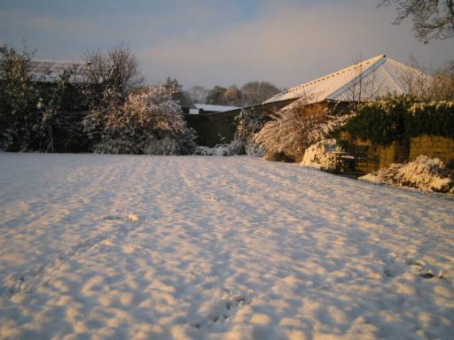 The far side of the garden at Cornhills Farm.